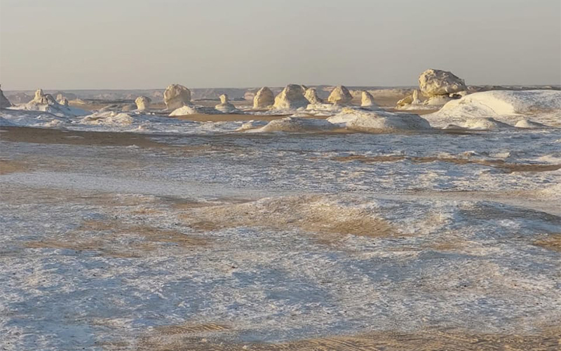 Tour of the White Desert and Bahariya Oasis