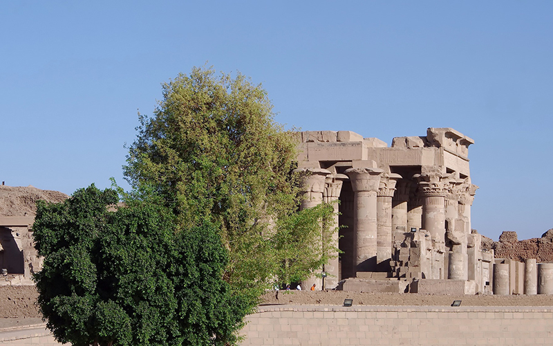 Day tour to Kom Ombo and Edfu from Aswan